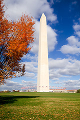 Image showing Washington Monument Autumn Framed Leaves Blue Sky