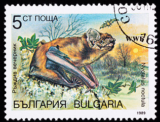 Image showing Canceled Bulgarian Postage Stamp Common Noctule Bat Nyctalus Noc