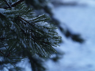 Image showing Advent of winter