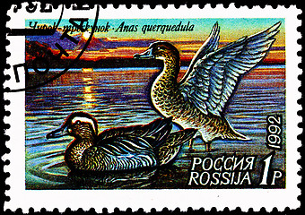 Image showing Garganey, Anas auerquedula Ducks on Lake