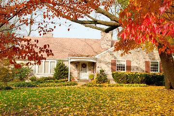 Image showing House Philadelphia Yellow Fall Autumn Leaves Tree