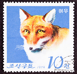 Image showing Canceled North Korean Postage Stamp Fox Canidae Head Shoulders I