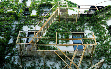 Image showing Fire Escape on Old Building Covered with Ivy