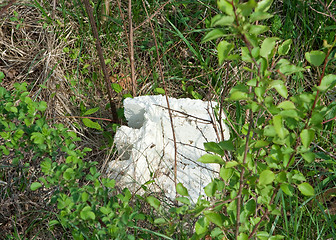 Image showing Chunk of Styrofoam in Brush and Weeds Littering Pollution Theme