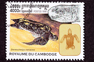 Image showing Canceled Cambodian Postage Stamp Swimming Leatherback Sea Turtle