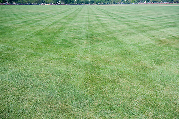Image showing Wide Angle Lawn With Criss-Cross Mowing Marks