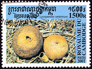 Image showing Canceled Cambodian Postage Stamp Round Umber-Brown Puffball Mush