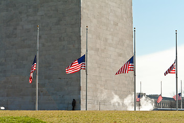 Image showing Washington Monument Surrounded Flags Half Mast