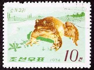 Image showing Canceled Korean Postage Stamp Fenced In North American Bull Frog