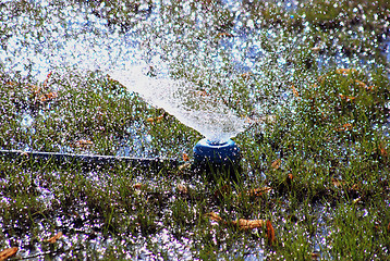 Image showing Artificial rain drops 