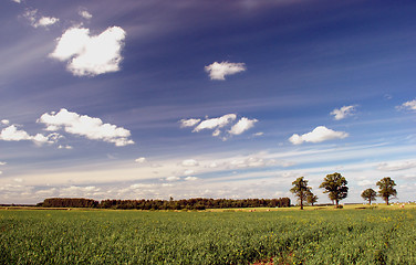 Image showing Argrarian landscape 