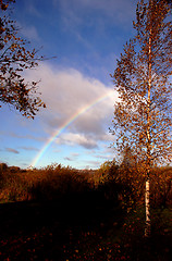 Image showing Autumn rainbow 