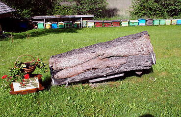 Image showing Beekeeping heritage - ancient horinontal hive 