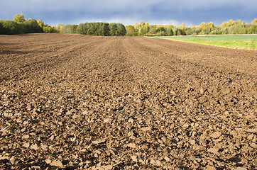 Image showing Plowed agricultural field surrounded by forest.