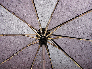 Image showing  inside of umbrella