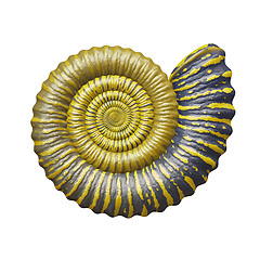 Image showing sea shell