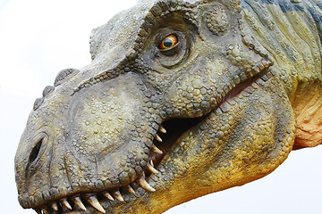 Image showing Dinosaur Tyrannosaurus rex on white