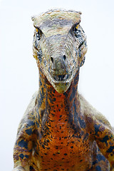 Image showing Deinonychus dinosaur