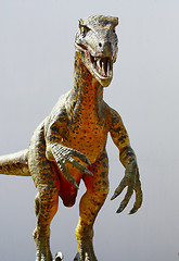 Image showing Deinonychus dinosaur