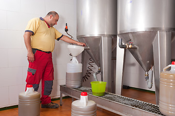 Image showing Collecting olive oil