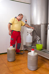 Image showing Collecting olive oil