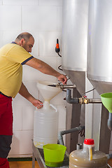 Image showing Collecting olive oil