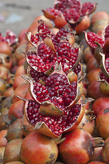 Image showing Pomegranate