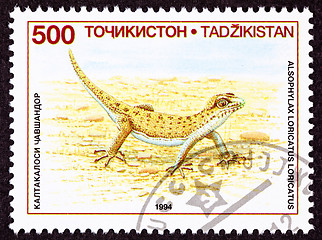 Image showing Canceled Tajikistan Postage Stamp Even-fingered Gecko, Lizard, A