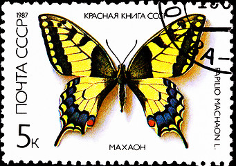Image showing Old World Swallowtail Papilio machaon