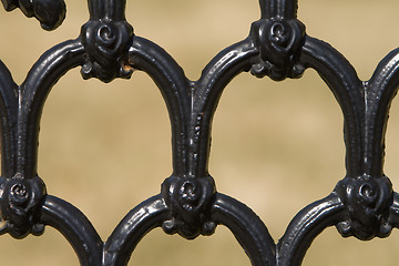 Image showing Close up of Ornate Iron Fence