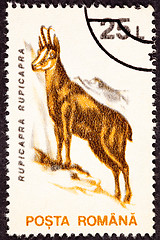 Image showing Romanian Postage Stamp Goat, Antelope Chamois, Rupicapra Rupicap