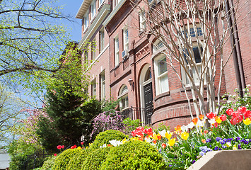 Image showing Spring Flowers Richardsonian Romanesque Row Houses