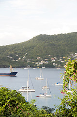 Image showing Port Elizabeth harbor Bequia St. Vincent The Grenadines