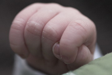 Image showing An infants fist