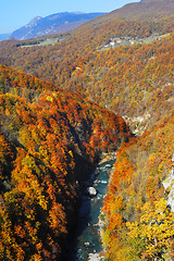 Image showing Tara River Gorge