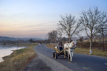 Image showing Horse cart