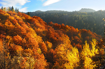 Image showing Beautiful autumn mountains