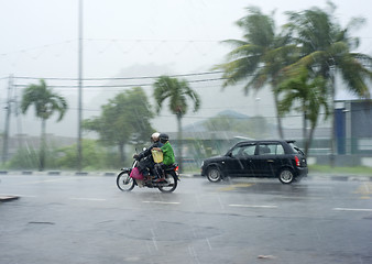 Image showing Rainfall