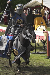 Image showing A winning knight