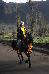 Image showing Man riding horse