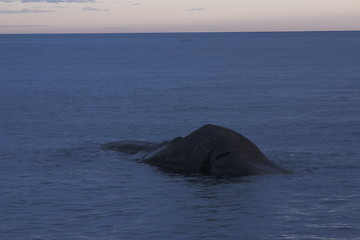 Image showing Blue sea