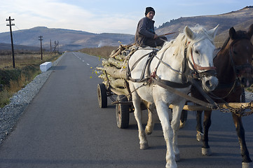 Image showing Horse cart