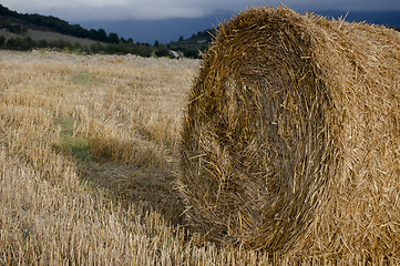 Image showing Hay Bale  