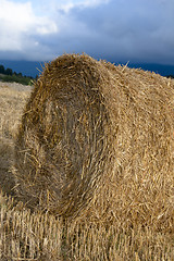 Image showing Hay Bale  