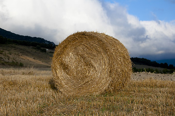 Image showing Hay Bale  