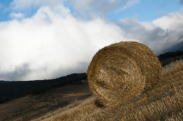 Image showing Hay Bale  