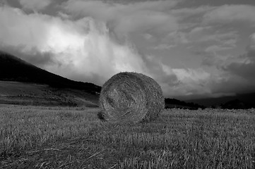 Image showing Hay Bale  