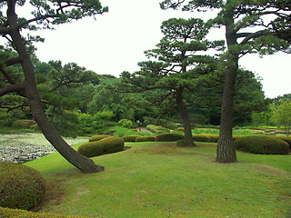 Image showing Tokyo garden