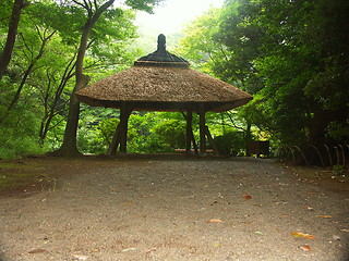 Image showing Tokyo garden