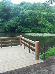 Image showing Tokyo garden